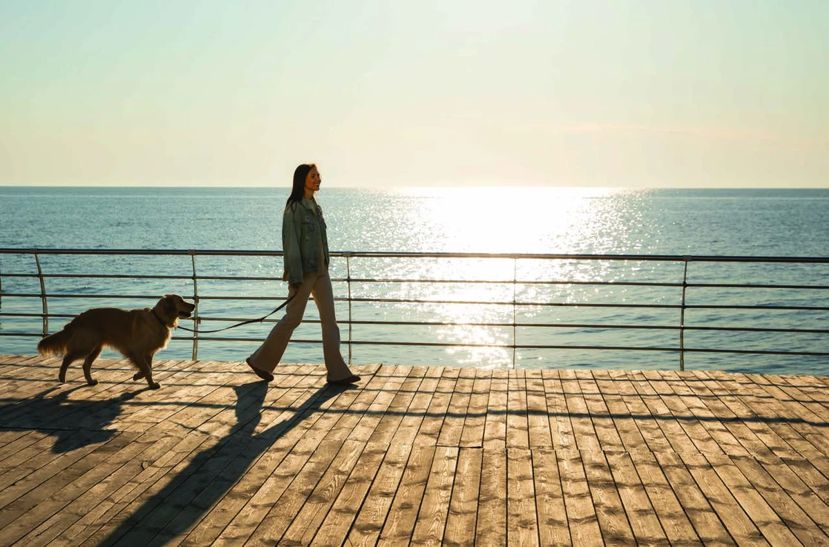 Canterbury Waterfront By GFS image