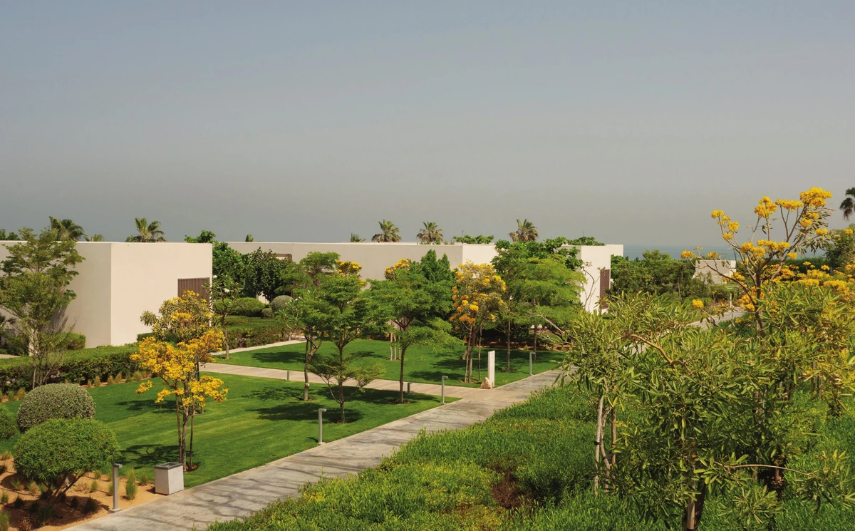 Beach Hills Row 3 image