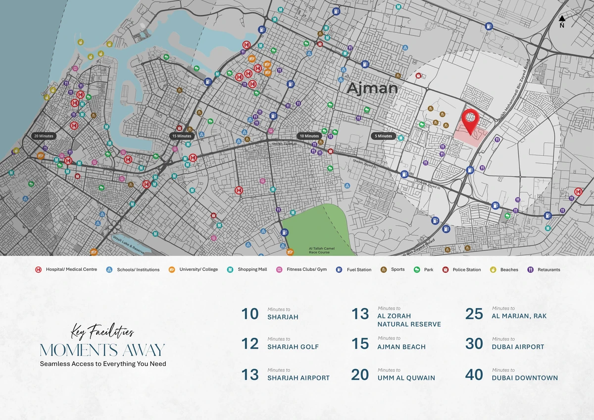 Tiger Downtown image