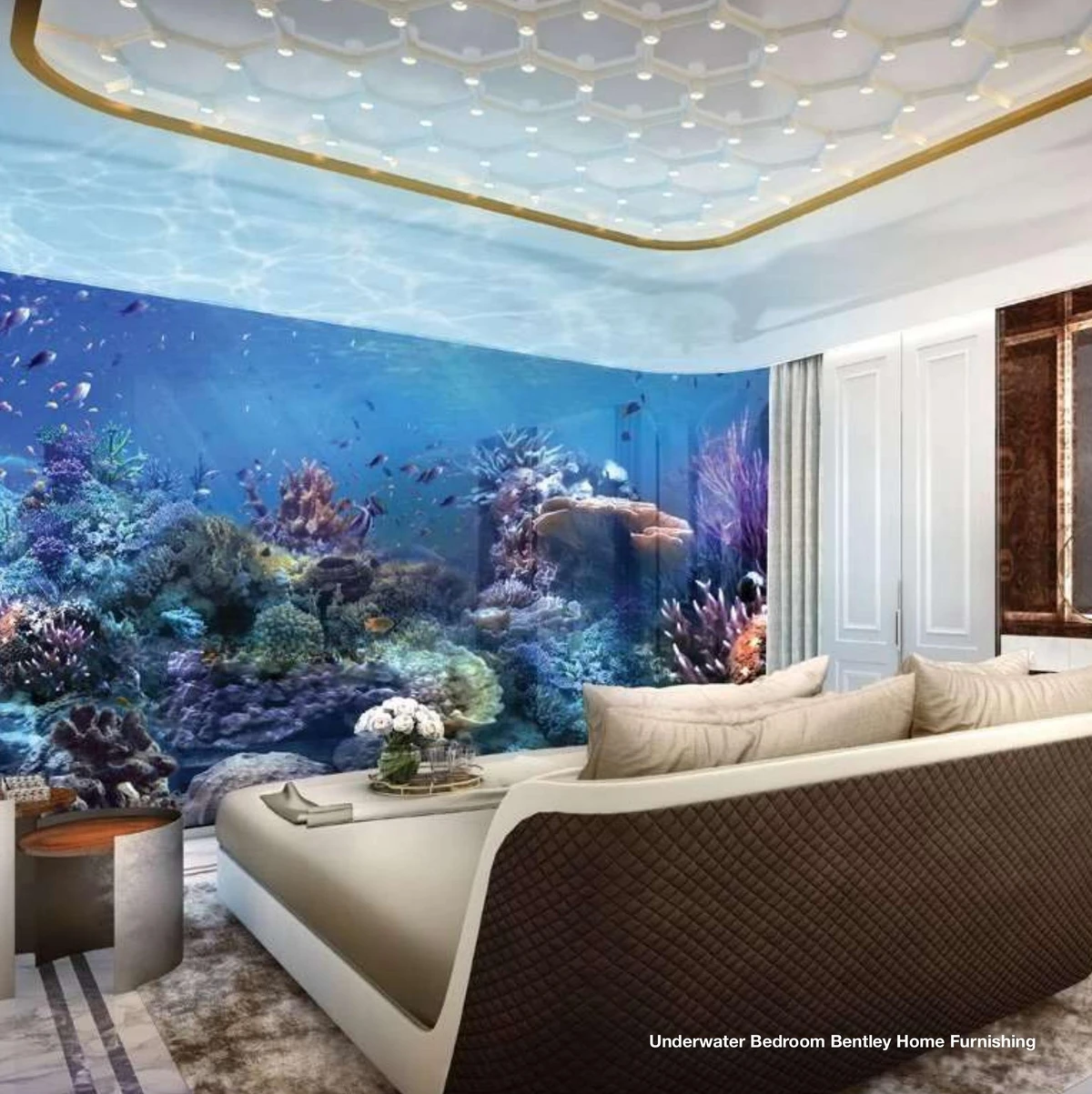 Honeymoon Island image