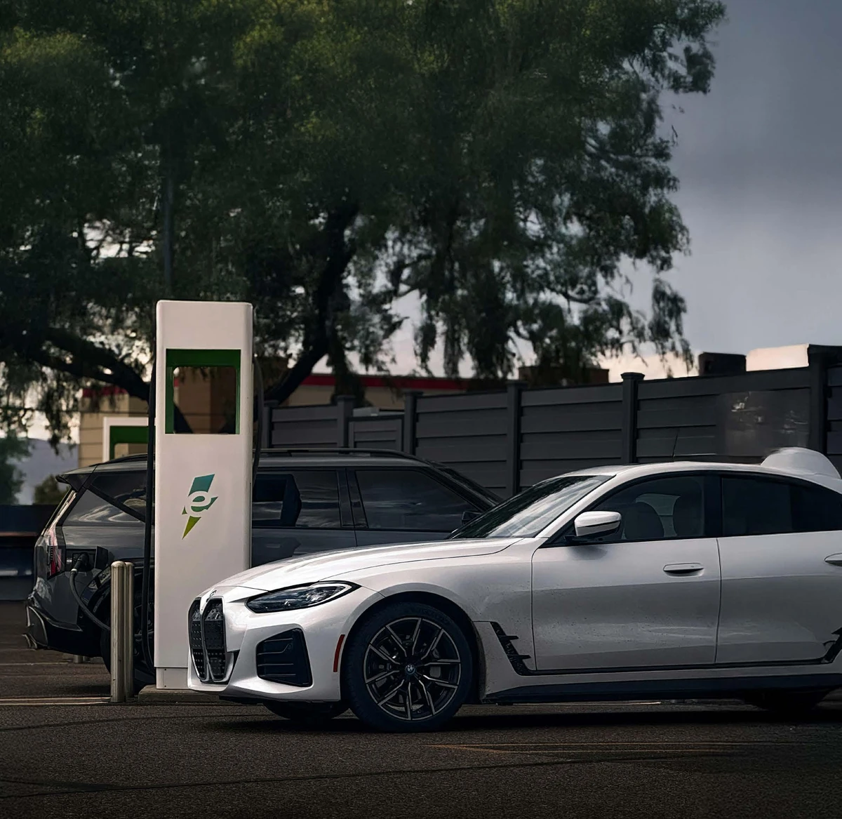 Sakura Gardens image