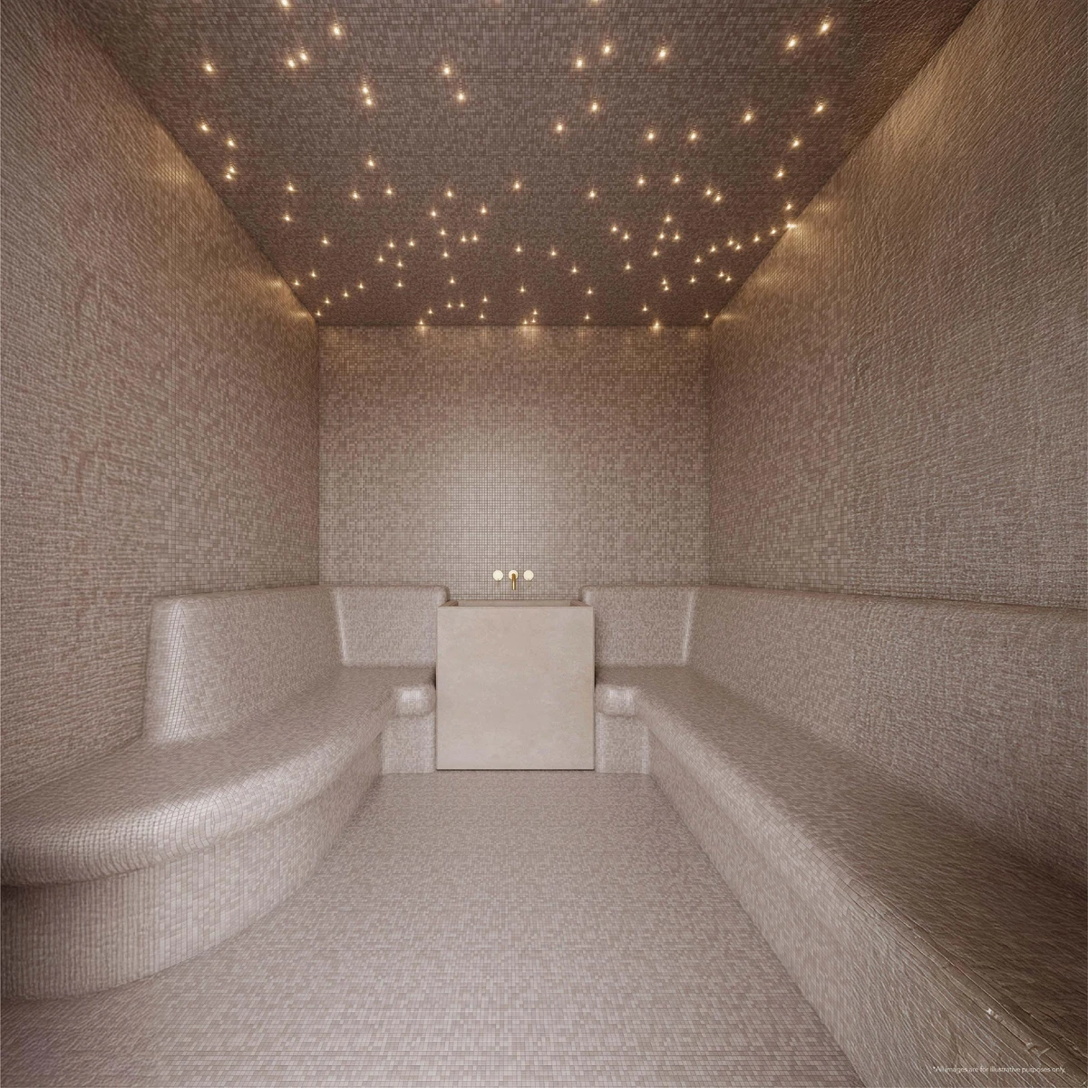 Sympolic Altus image