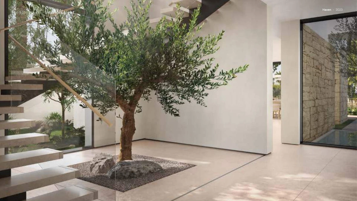 Wynwood Horizon by Imtiaz