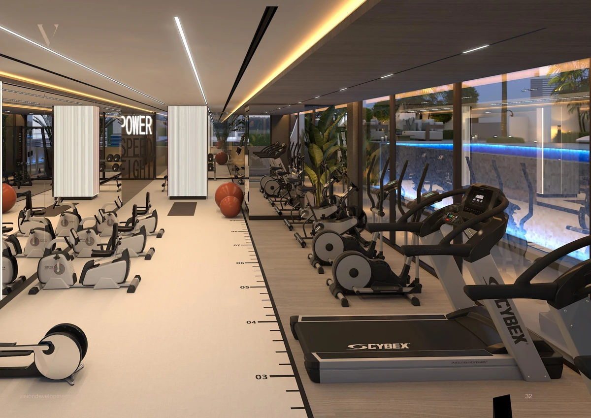 Coral by Vision image