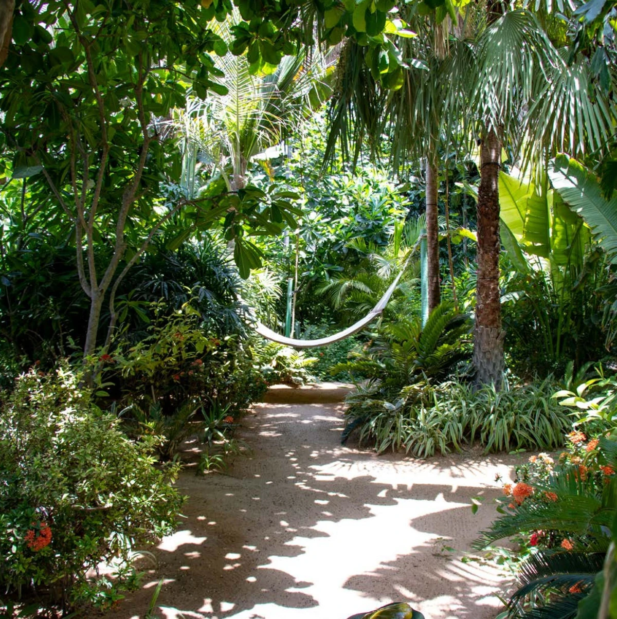 The Artist Hotel image